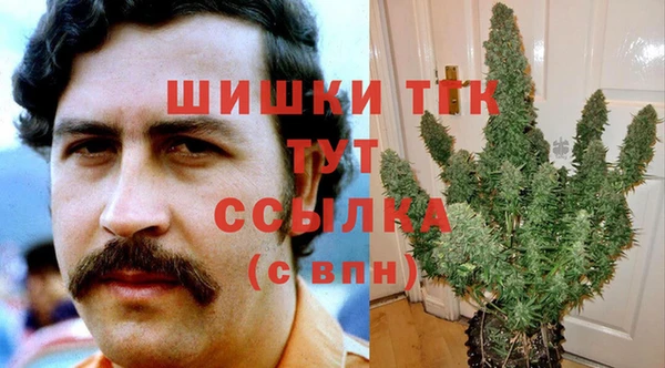 спайс Покачи
