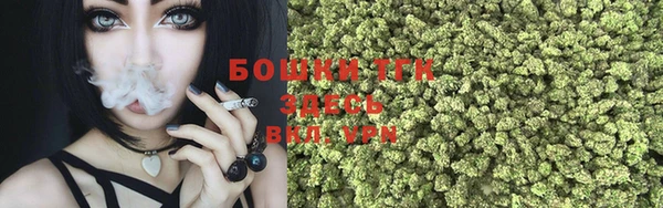 ПСИЛОЦИБИНОВЫЕ ГРИБЫ Переславль-Залесский