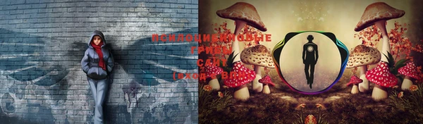 ПСИЛОЦИБИНОВЫЕ ГРИБЫ Переславль-Залесский