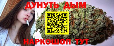 spice Дубна