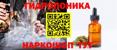 spice Дубна