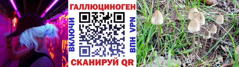 Псилоцибиновые грибы мицелий  хочу наркоту  Куйбышев 