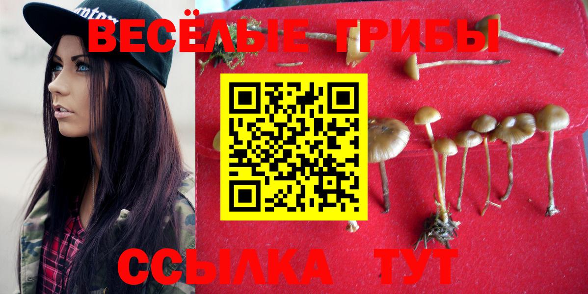 Галлюциногенные грибы Psilocybe  Псилоцибиновые грибы Psilocybe  Куйбышев  Вход с VPN 